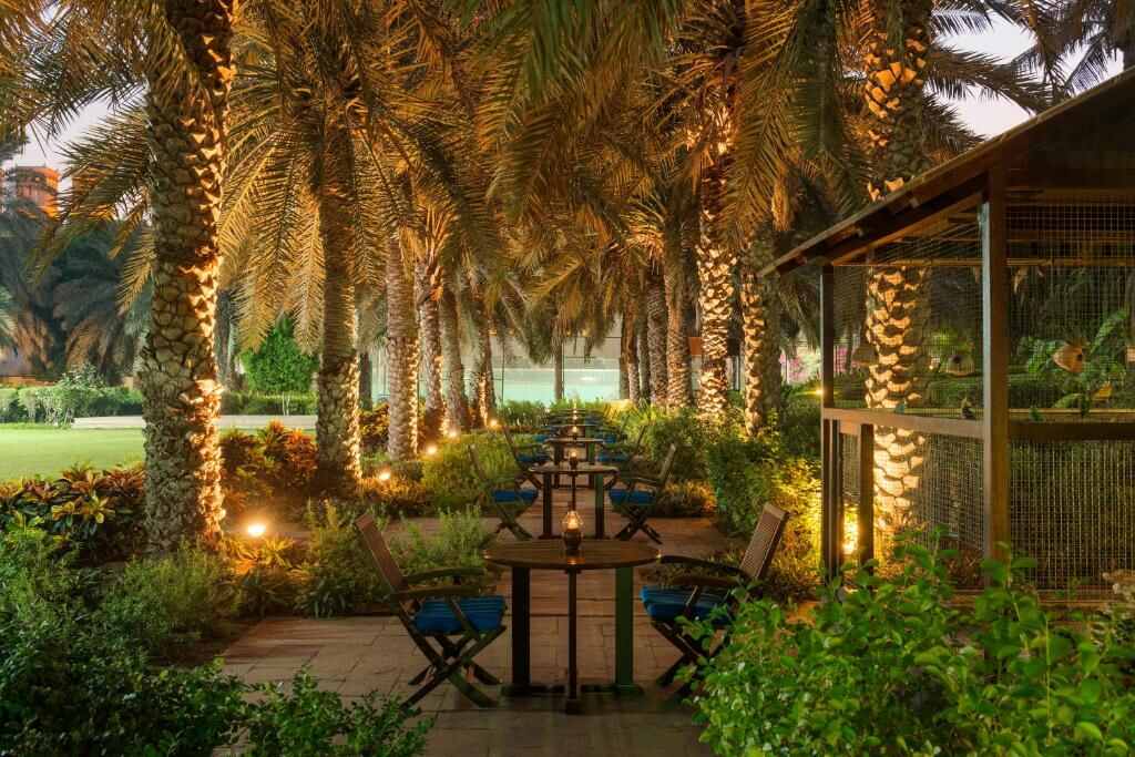 Palm-lined garden pathway in the resort grounds